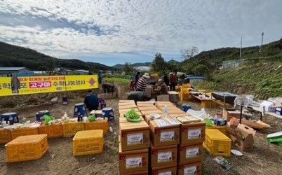(1027)[농기센 농생명정책과]남양주시 농업인단체, 공동학습포 수확으로 ‘나눔의 농심’실천(사진1).jpg width: 100%; height : 150px