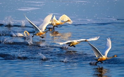 KakaoTalk_20251111_103109584.jpg width: 100%; height : 150px