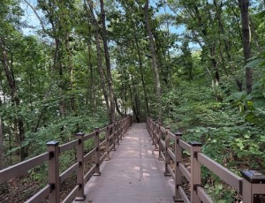 (사진)도심 속 쉼터 확대… 하남시 황산숲 데크로드 12월부터 시민 누구나 이용.jpg