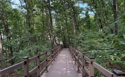 (사진)도심 속 쉼터 확대… 하남시 황산숲 데크로드 12월부터 시민 누구나 이용.jpg width: 100%; height : 150px
