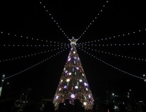 (1207)[문화관광과]남양주시, 시민과 함께하는 ‘2025 성탄트리 점등식’ 성료(사진3).jpg