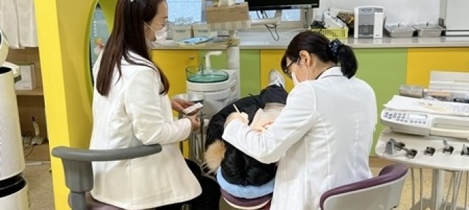 남양주풍양보건소, ‘2026 어린이 불소도…