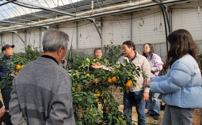 광주시, 감귤 재배 농가 대상 겨울전정 현장 자문 실시 (1).jpg width: 100%; height : 150px