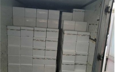 광주시, 결식 우려 아동 위한 ‘2026년 행복 두 끼 프로젝트’ 본격 추진 (3).jpg width: 100%; height : 150px