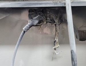 콘센트 과부하 현장사진.jpg