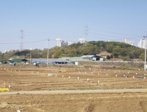 (0224)[농생명정책과]남양주시, ‘2026년 정약용 도시텃밭’분양…도심 속 치유 공간 마련(사진).jpg