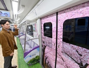 (사진1)발밑엔 한강모랫길, 머리 위엔 벚꽃비… 일상을 파고든 하남의 봄 ‘눈길’.jpg