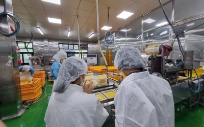 광주시, 식품제조업체 위생관리등급 평가 전면 실시.jpg