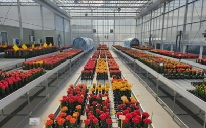 접목선인장+육종+온실.jpg width: 100%; height : 150px